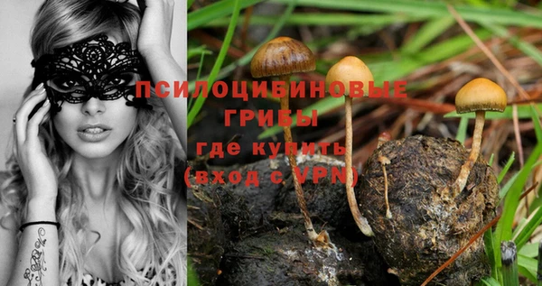 мет Медногорск