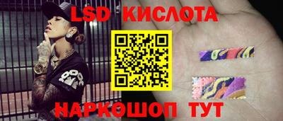 амф Гусев