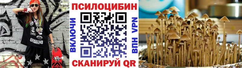 Псилоцибиновые грибы мицелий  Ессентуки 