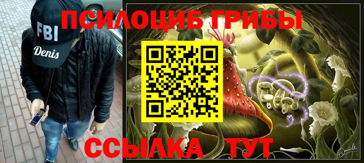 Ессентуки  Псилоцибиновые грибы MAGIC MUSHROOMS  Вход с VPN 