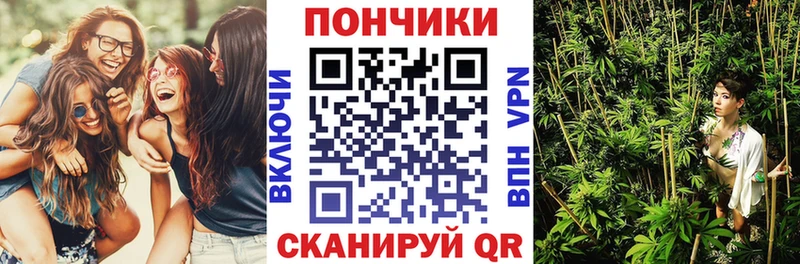 Конопля план  Ессентуки 